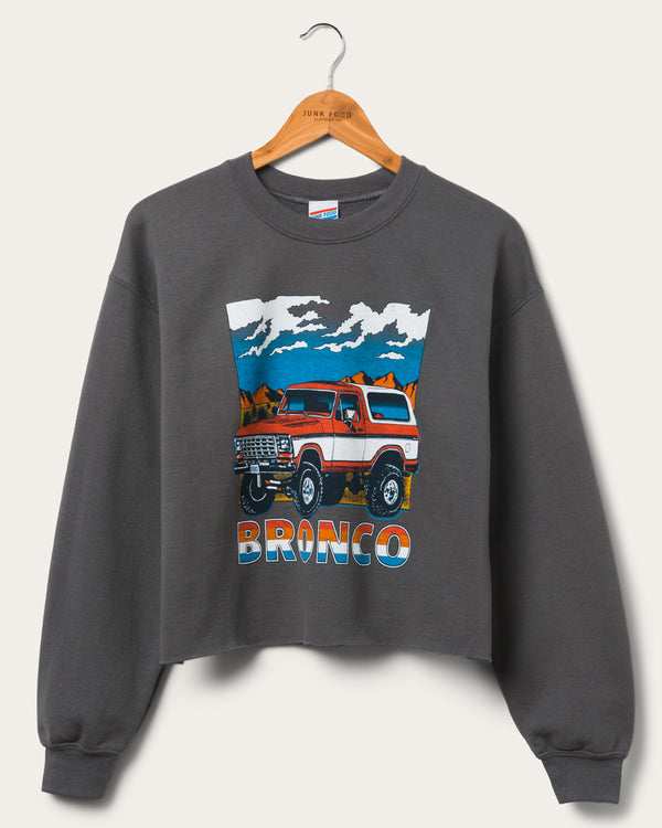 junk food clothing Women's Bronco Cropped Flea Market Fleece Charcoal