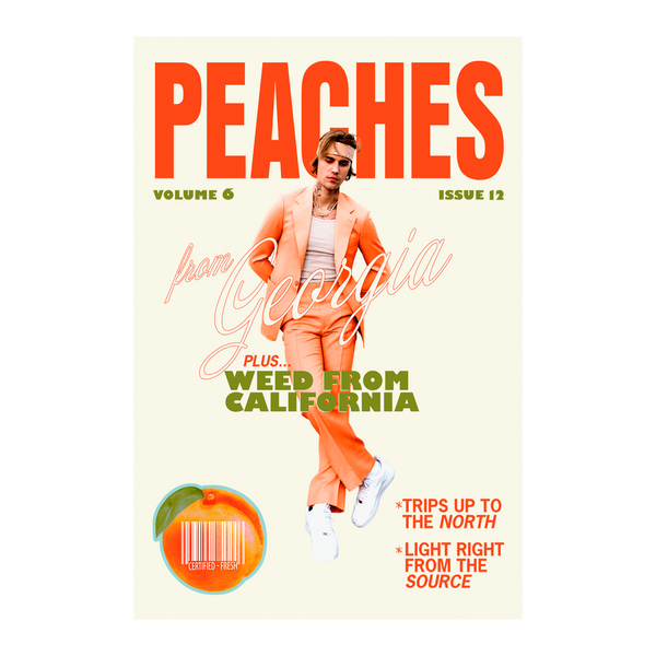 justin bieber PEACHES POSTER
