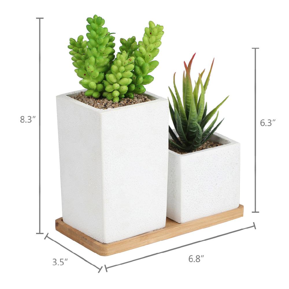 K Cliffs Faux Succulents In Square Shaped White Cement Pot With Saucer Set Of 2