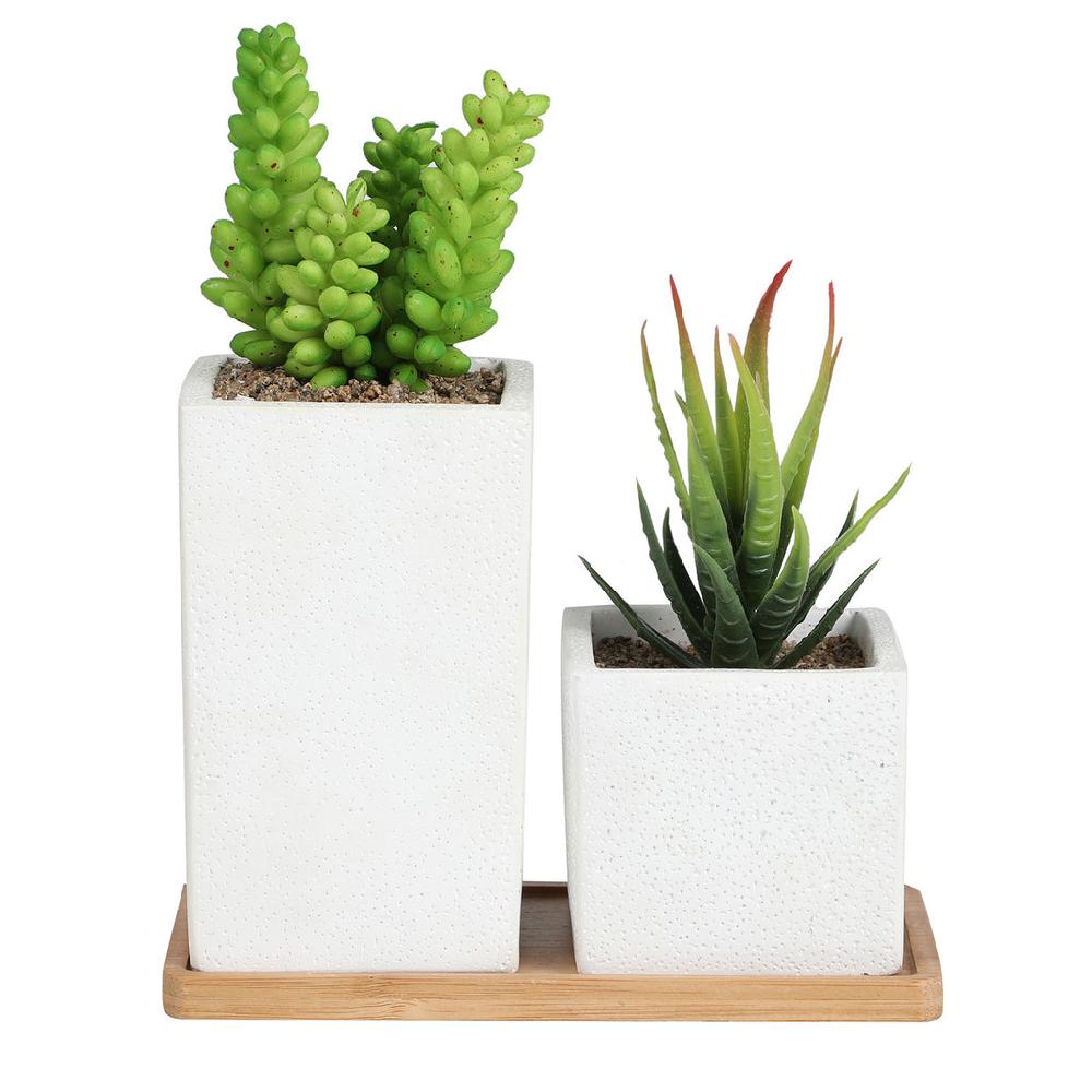 K Cliffs Faux Succulents In Square Shaped White Cement Pot With Saucer Set Of 2