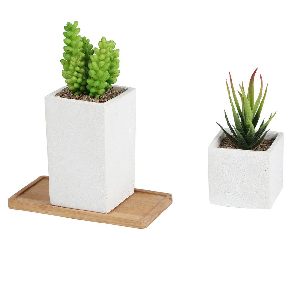 K Cliffs Faux Succulents In Square Shaped White Cement Pot With Saucer Set Of 2