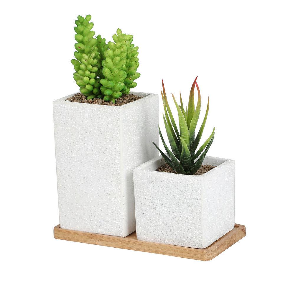 k cliffs Faux Succulents in Square Shaped White Cement Pot with Saucer Set of 2