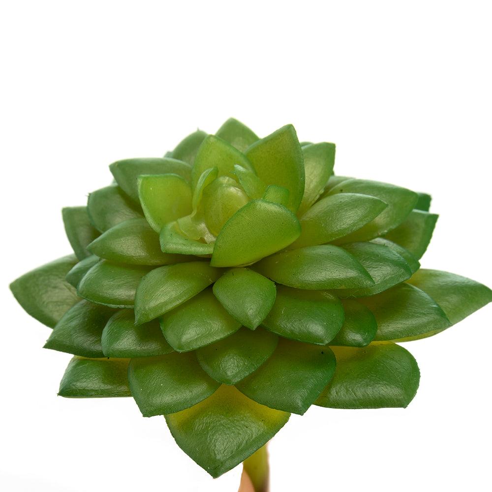 K Cliffs K-Cliffs 10pcs Artificial Mini Succulents Faux Cactus Plants Unpotted