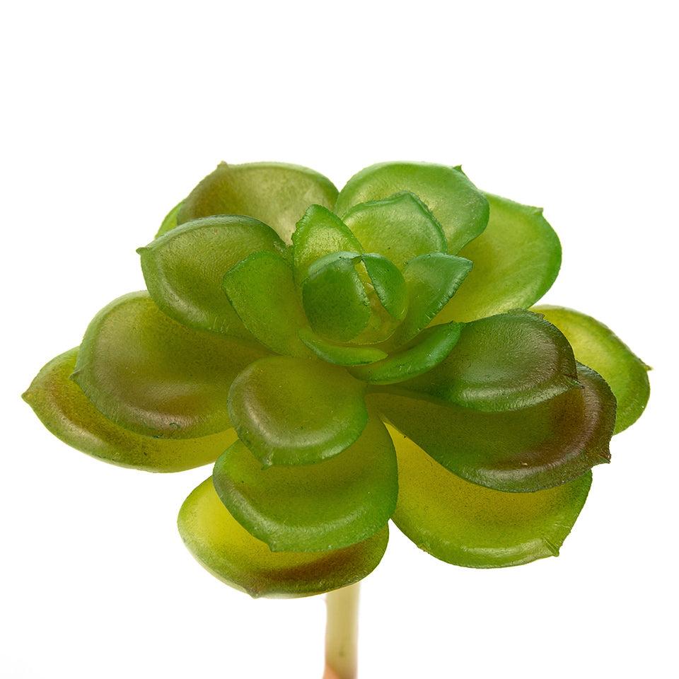 K Cliffs K-Cliffs 10pcs Artificial Mini Succulents Faux Cactus Plants Unpotted