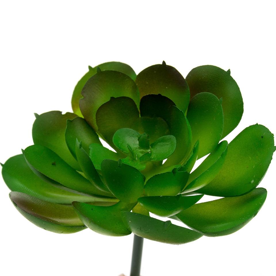 K Cliffs K-Cliffs 10pcs Artificial Mini Succulents Faux Cactus Plants Unpotted