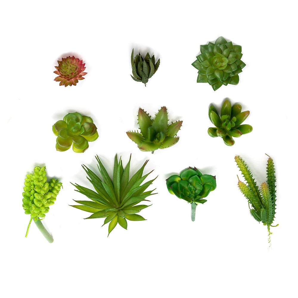 k cliffs K-Cliffs 10pcs Artificial Mini Succulents Faux Cactus Plants Unpotted