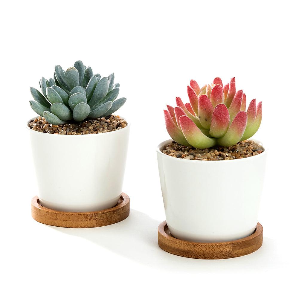 K Cliffs K-Cliffs 3.5 Inch White Oval Ceramic Succulent Pots With Bamboo Tray Set Of 2…