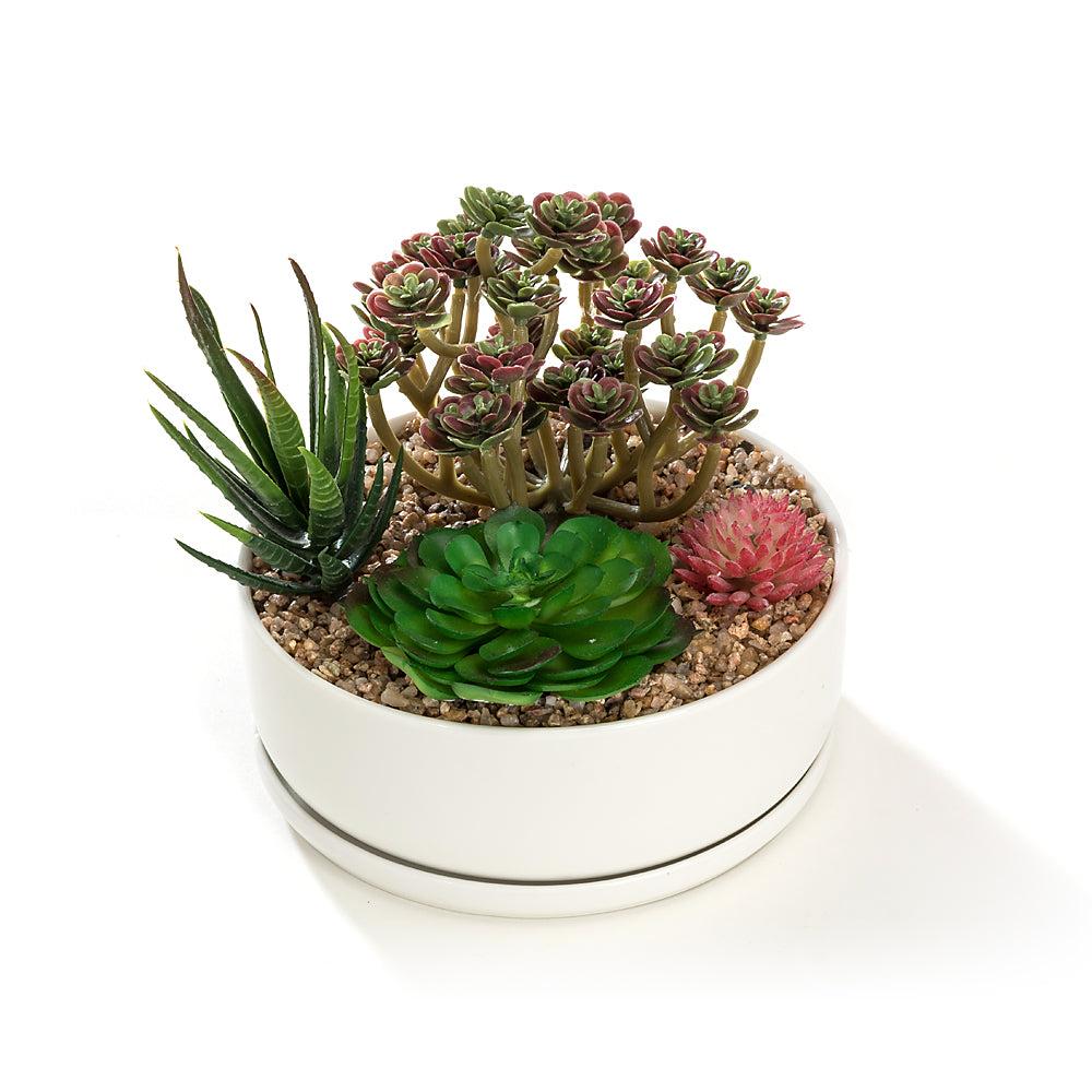 K Cliffs K-Cliffs 6.3 Inch White Round Bowl Pot W/ Saucer Ceramic Succulent Planter