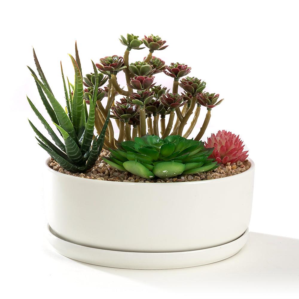 k cliffs K-Cliffs 6.3 inch White Round Bowl Pot w/ Saucer Ceramic Succulent Planter