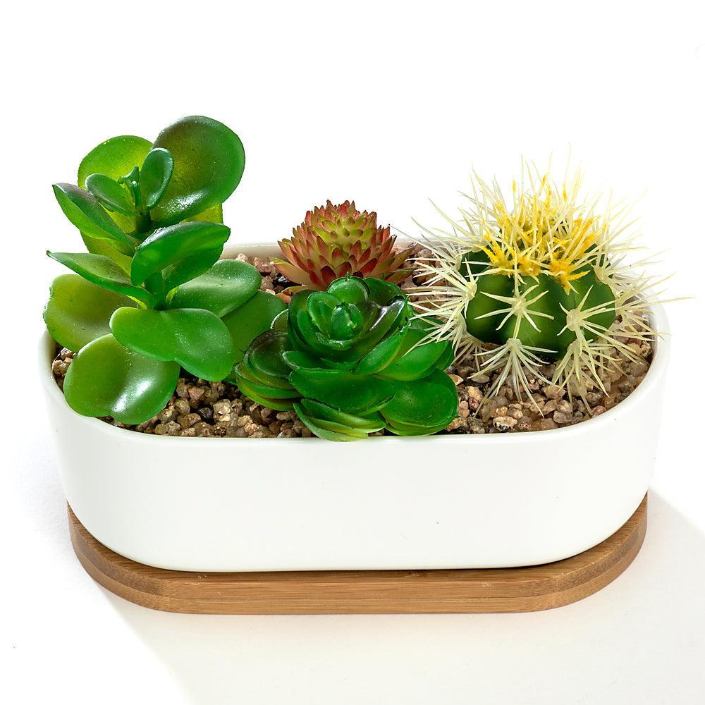 K Cliffs K-Cliffs 6.8" Ceramic Modern White Oval Succulent Planter With Bamboo Saucer