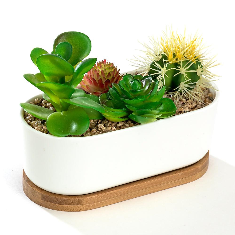 K Cliffs K-Cliffs 6.8" Ceramic Modern White Oval Succulent Planter With Bamboo Saucer