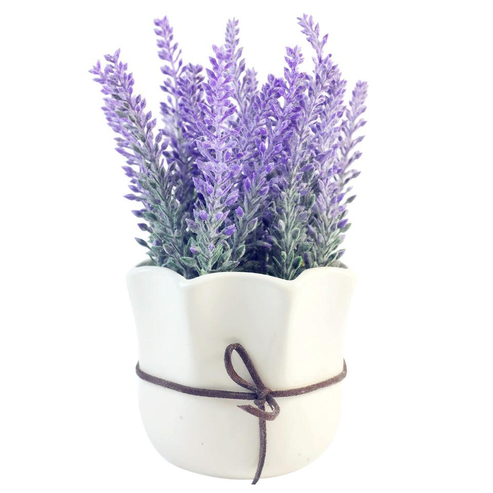 K Cliffs K-Cliffs Artificial Lavender Potted Purple Flowers In A 7.5" White Ceramic Pot
