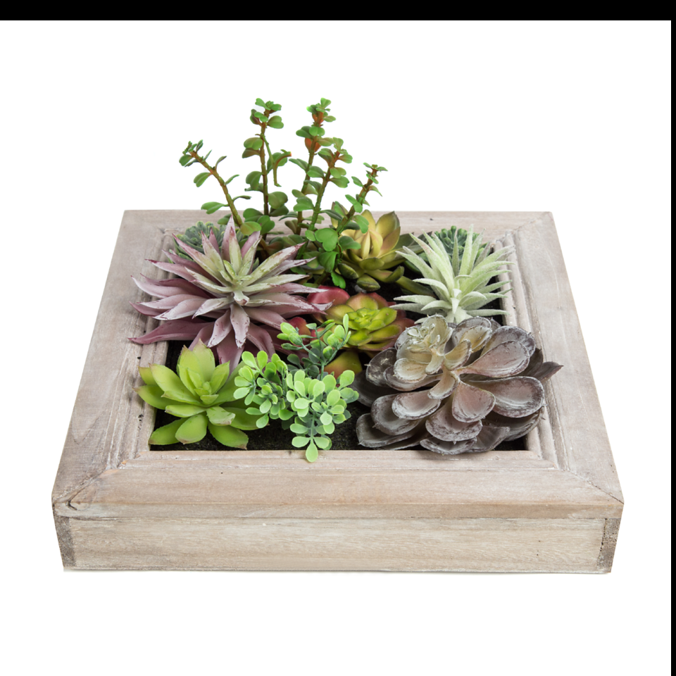 K Cliffs K-Cliffs Artificial Plants In A 3D Wall Hanging Solid Wooden Frame Decorative Wall Art