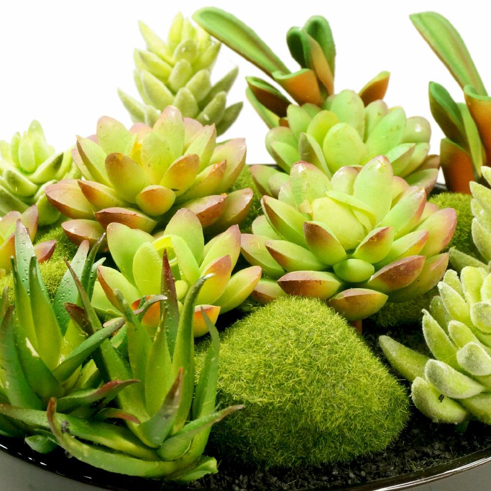 K Cliffs K-Cliffs Large Round Faux Succulent Planter With Moss Cactus Aloe Vera