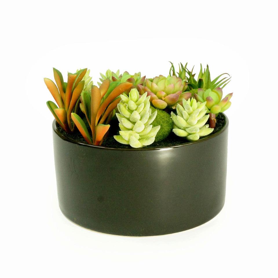 K Cliffs K-Cliffs Large Round Faux Succulent Planter With Moss Cactus Aloe Vera