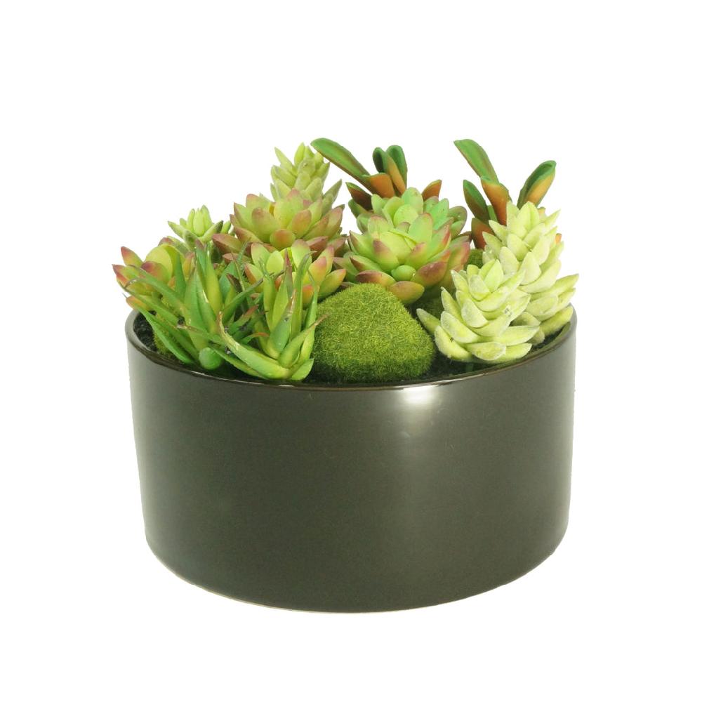 k cliffs K-Cliffs Large Round Faux Succulent Planter with Moss Cactus Aloe Vera