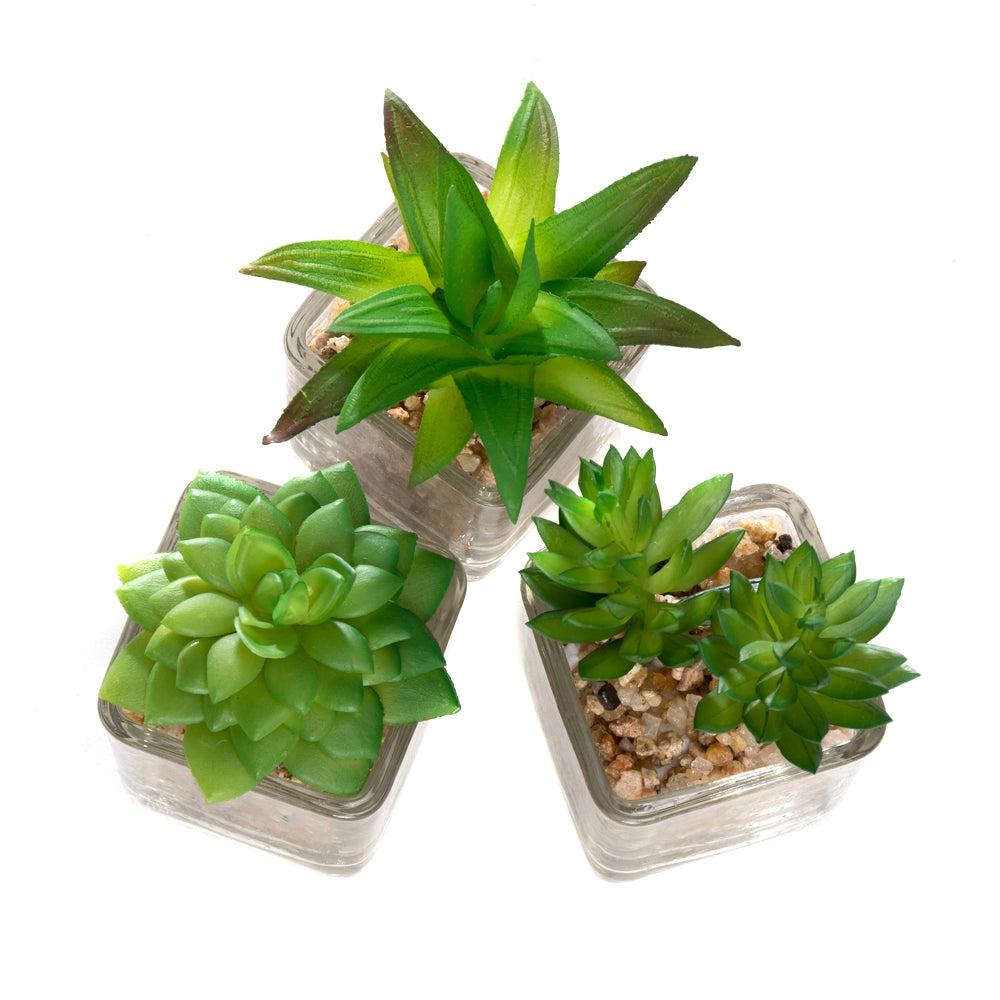 K Cliffs K-Cliffs Mini Artificial Succulents Potted In Modern Cube Clear Glass Pots 3pc Set