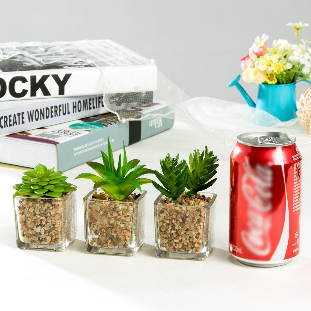 K Cliffs K-Cliffs Mini Artificial Succulents Potted In Modern Cube Clear Glass Pots 3pc Set