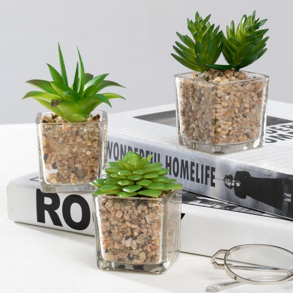 K Cliffs K-Cliffs Mini Artificial Succulents Potted In Modern Cube Clear Glass Pots 3pc Set