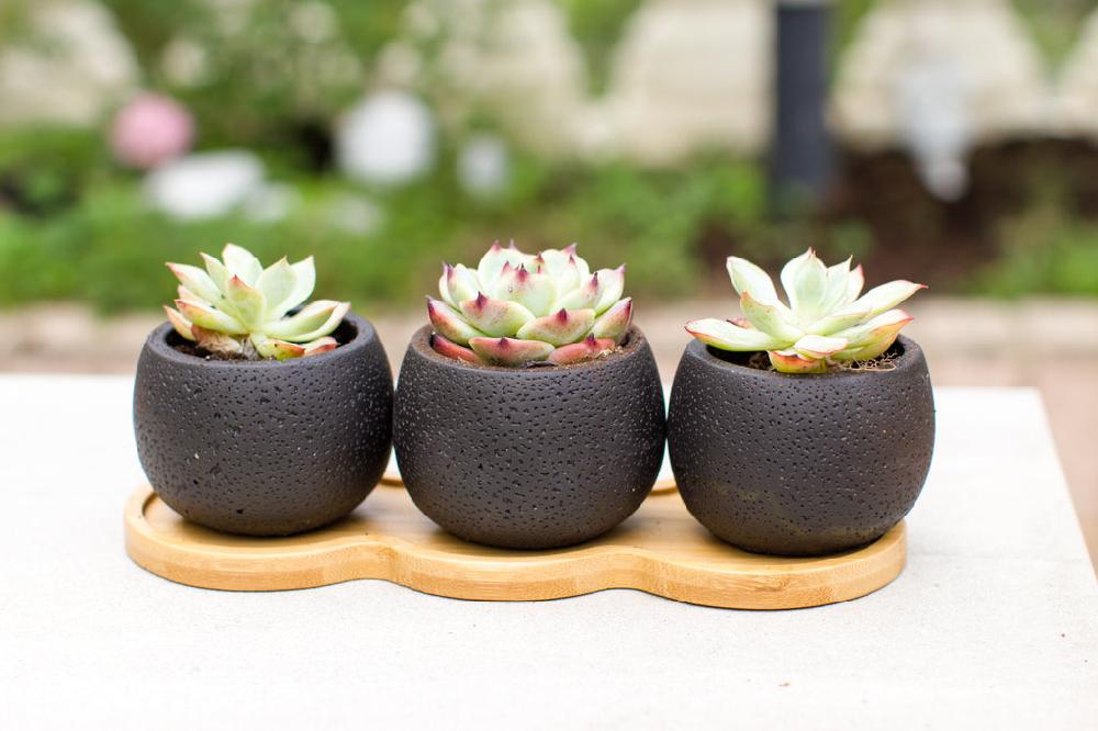 k cliffs K-Cliffs Mini Black Cement Plant Pots with Bamboo Saucer and Drainage Hole Set of 3