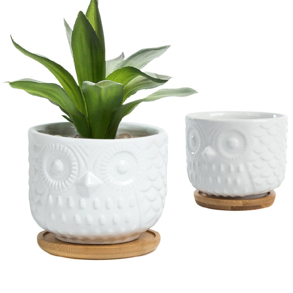 K Cliffs K-Cliffs Owl Succulent Planter Pots With Drainage Hole And Bamboo Saucer Set Of 2