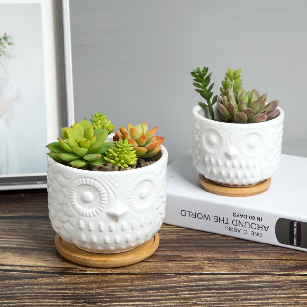 K Cliffs K-Cliffs Owl Succulent Planter Pots With Drainage Hole And Bamboo Saucer Set Of 2