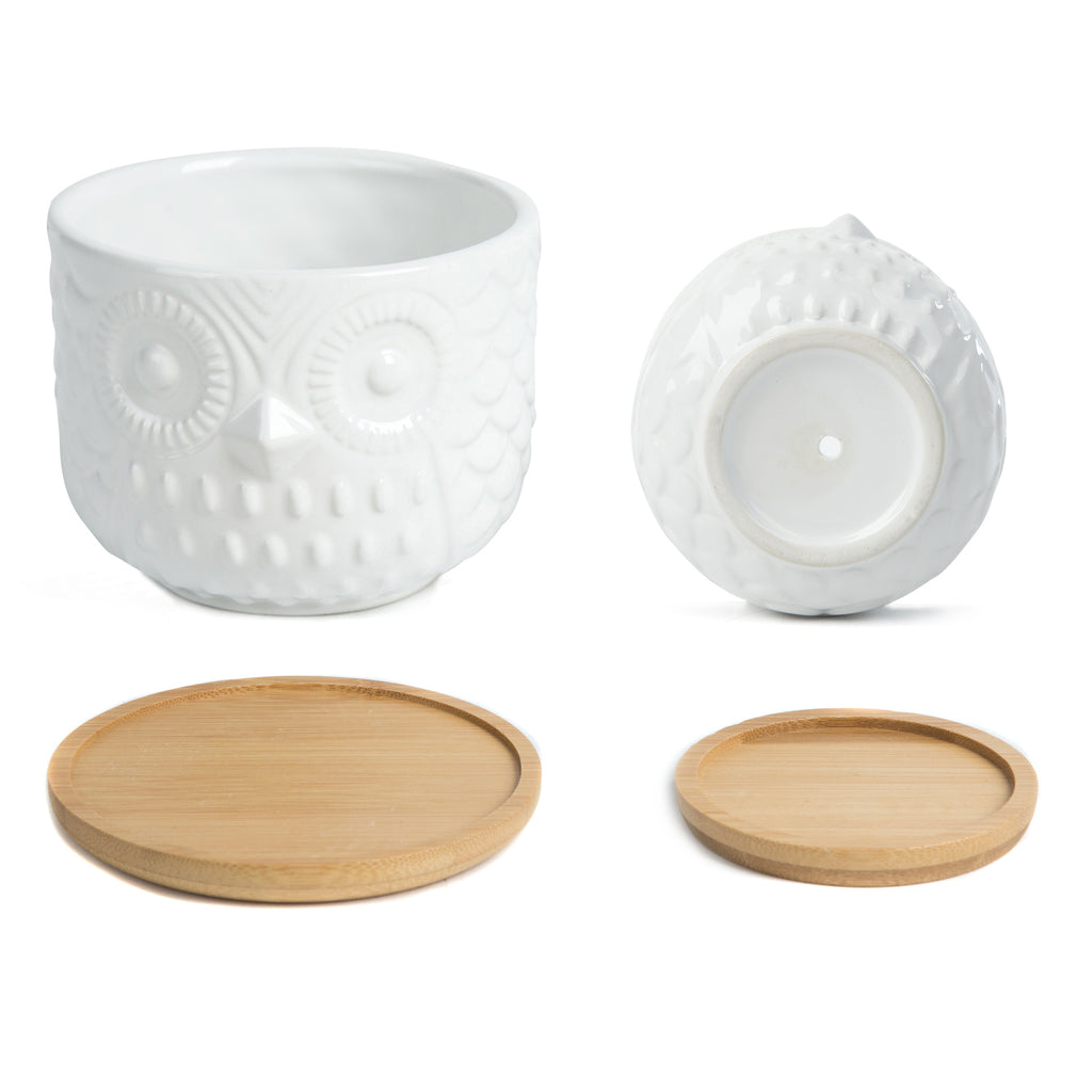 K Cliffs K-Cliffs Owl Succulent Planter Pots With Drainage Hole And Bamboo Saucer Set Of 2