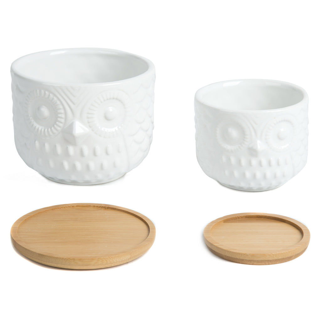 k cliffs K-Cliffs Owl Succulent Planter Pots with Drainage Hole and Bamboo Saucer Set of 2