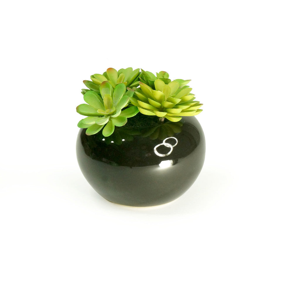 K Cliffs K-Cliffs Realistic Faux Moonglow Succulent Plant In Black Bowl Vase