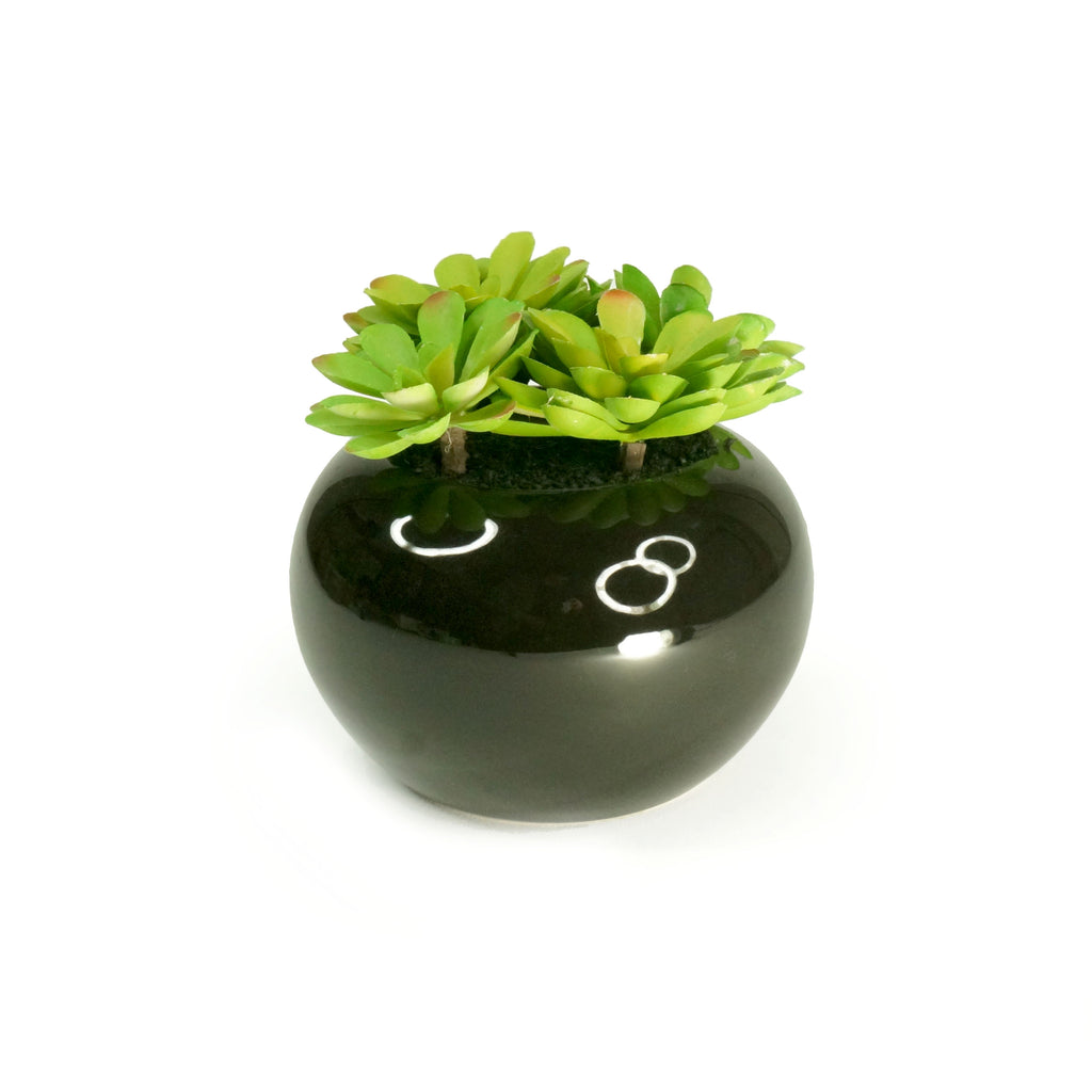 k cliffs K-Cliffs Realistic Faux Moonglow Succulent Plant in Black Bowl Vase
