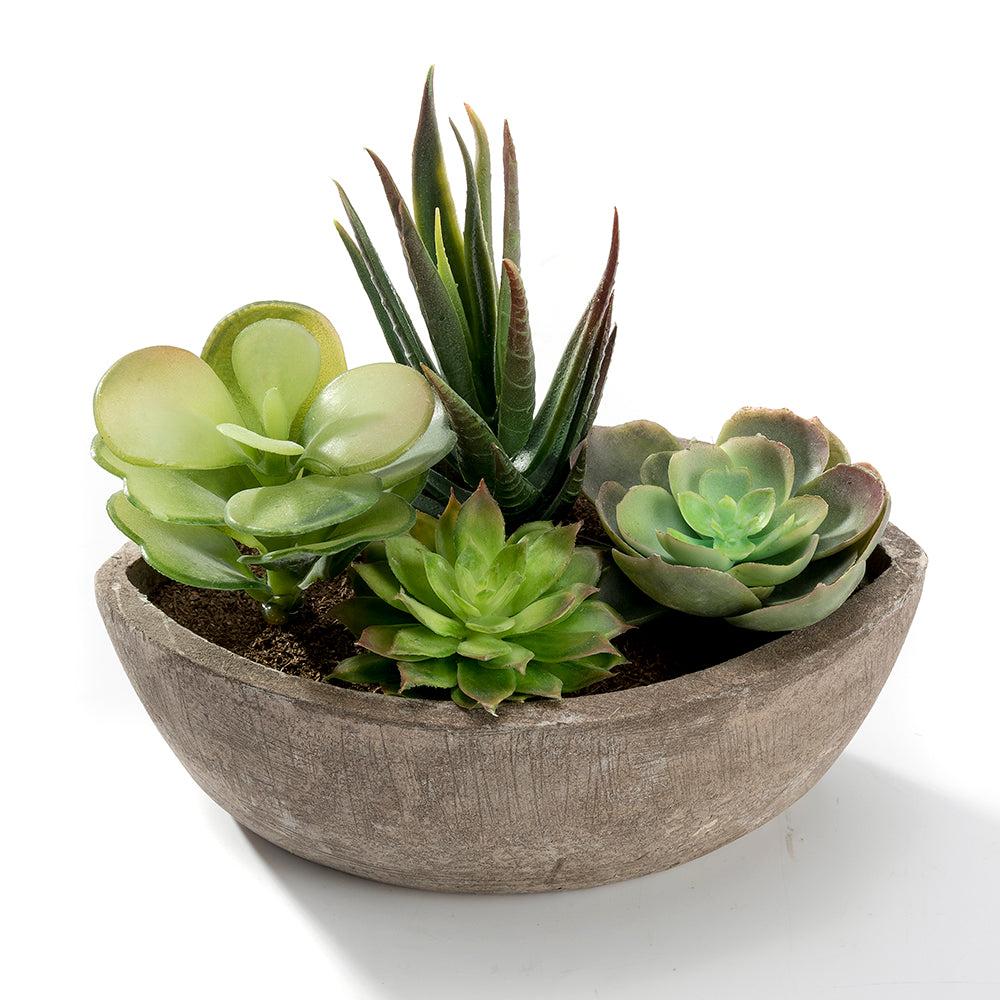 K Cliffs K-Cliffs Realistic Mini Faux Succulent Plants Arrangement In A Decorative Boat Shape