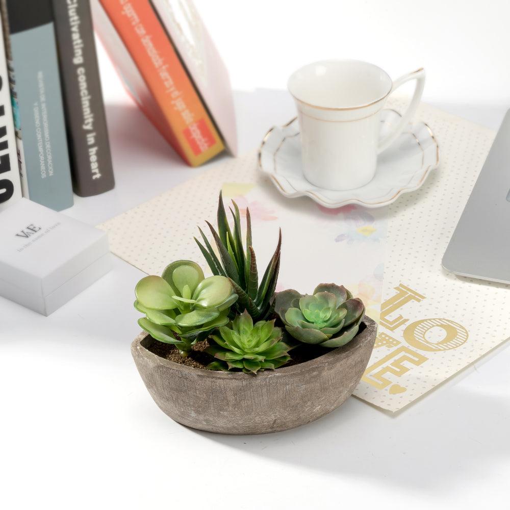 K Cliffs K-Cliffs Realistic Mini Faux Succulent Plants Arrangement In A Decorative Boat Shape