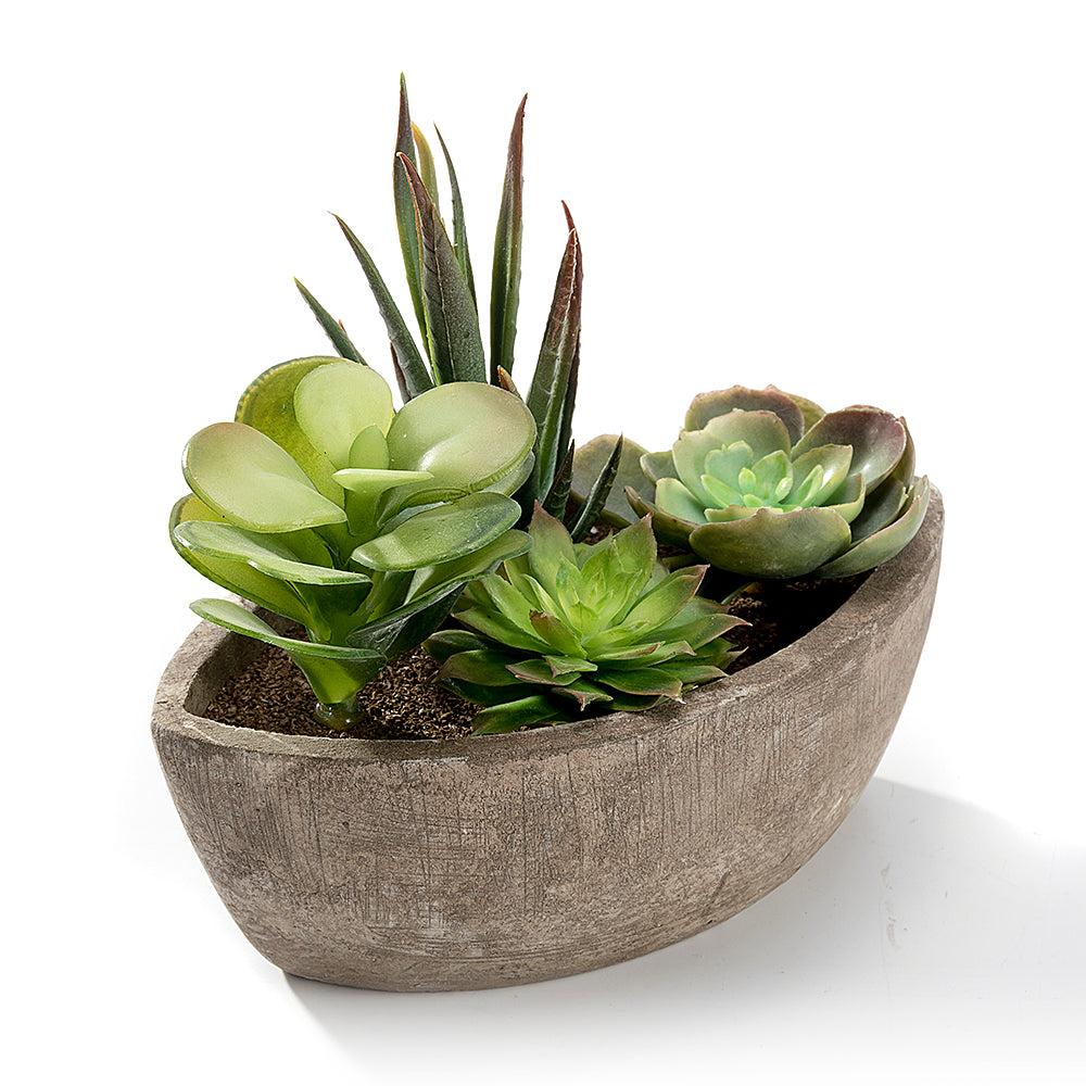 k cliffs K-Cliffs Realistic Mini Faux Succulent Plants Arrangement in a Decorative Boat Shape