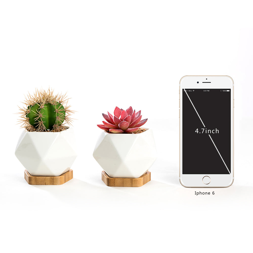 K Cliffs K-Cliffs Set Of 2 White Diamond Shape Ceramic Succulent Plant Pot With Bamboo Tray