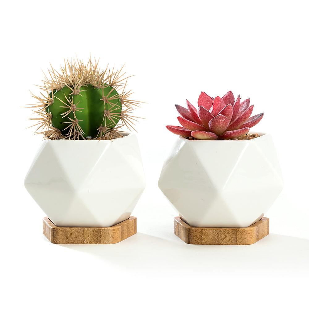 k cliffs K-Cliffs Set of 2 White Diamond Shape Ceramic Succulent Plant Pot with Bamboo Tray