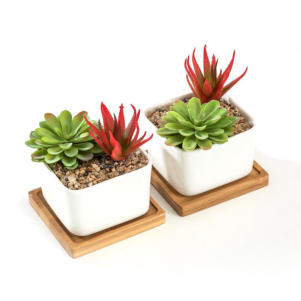 k cliffs K-Cliffs Set of 2 White Square Ceramic Succulent Plant Pot/Cactus with Bamboo Tray