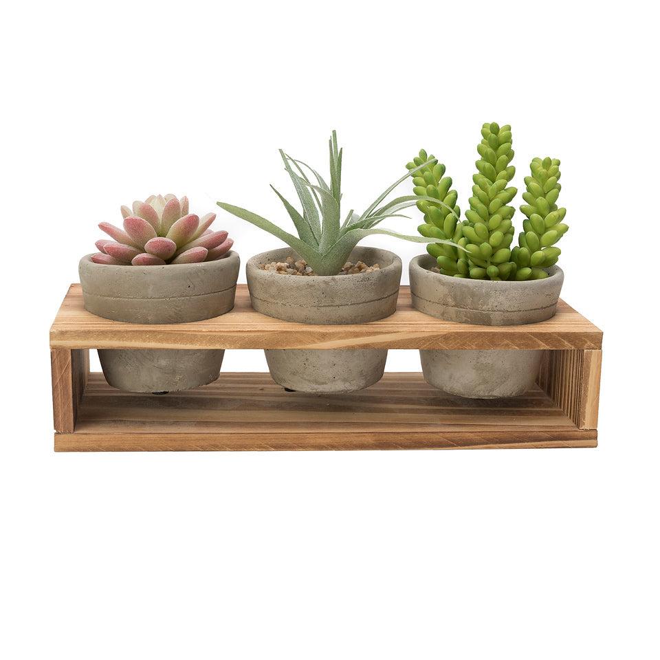 k cliffs K-Cliffs Set of 3 Mini Gray Cement Pots with Wood Display Stand for Succulents