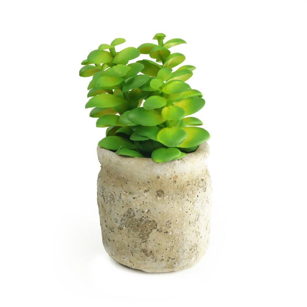 K Cliffs K-Cliffs Set Of 3 Realistic Faux Artificial Succulent Plants In Cement Pot