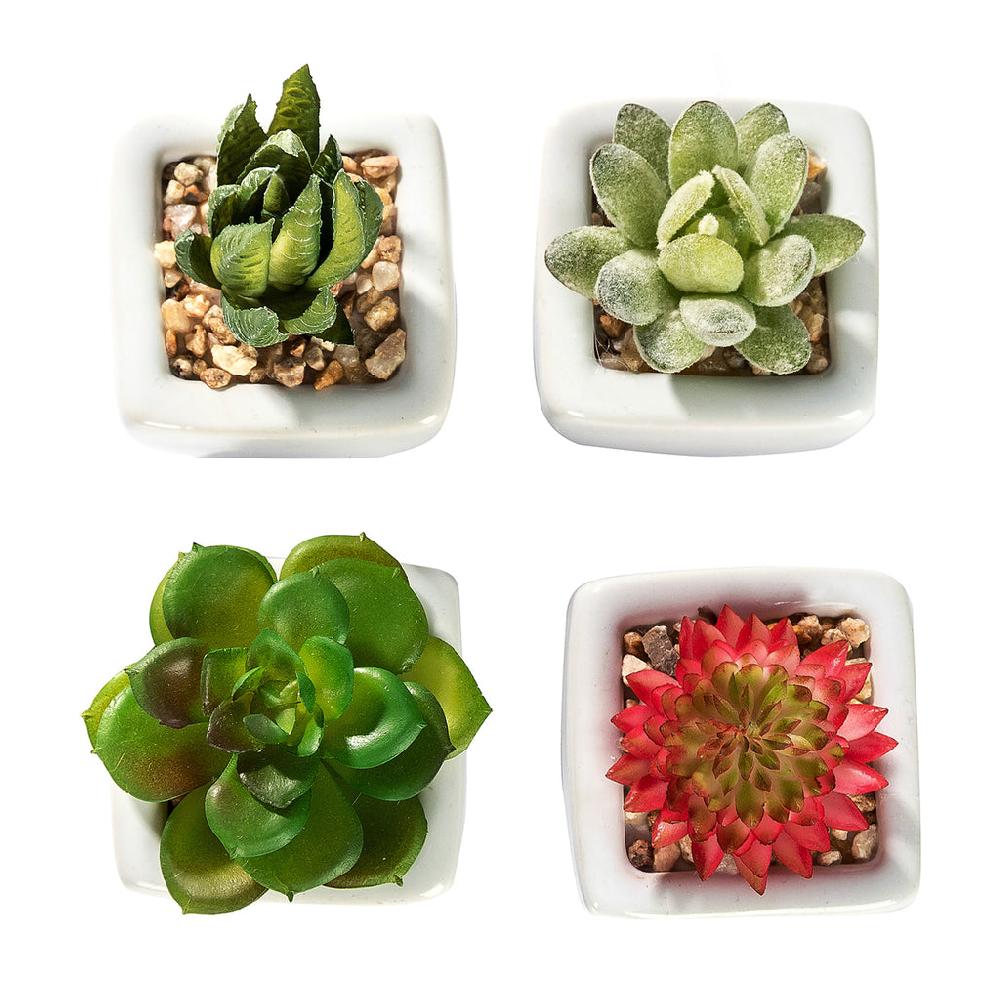 K Cliffs K-Cliffs Set Of 4 Mini Assorted Artificial Succulent Plants In White Ceramic Planter Pots