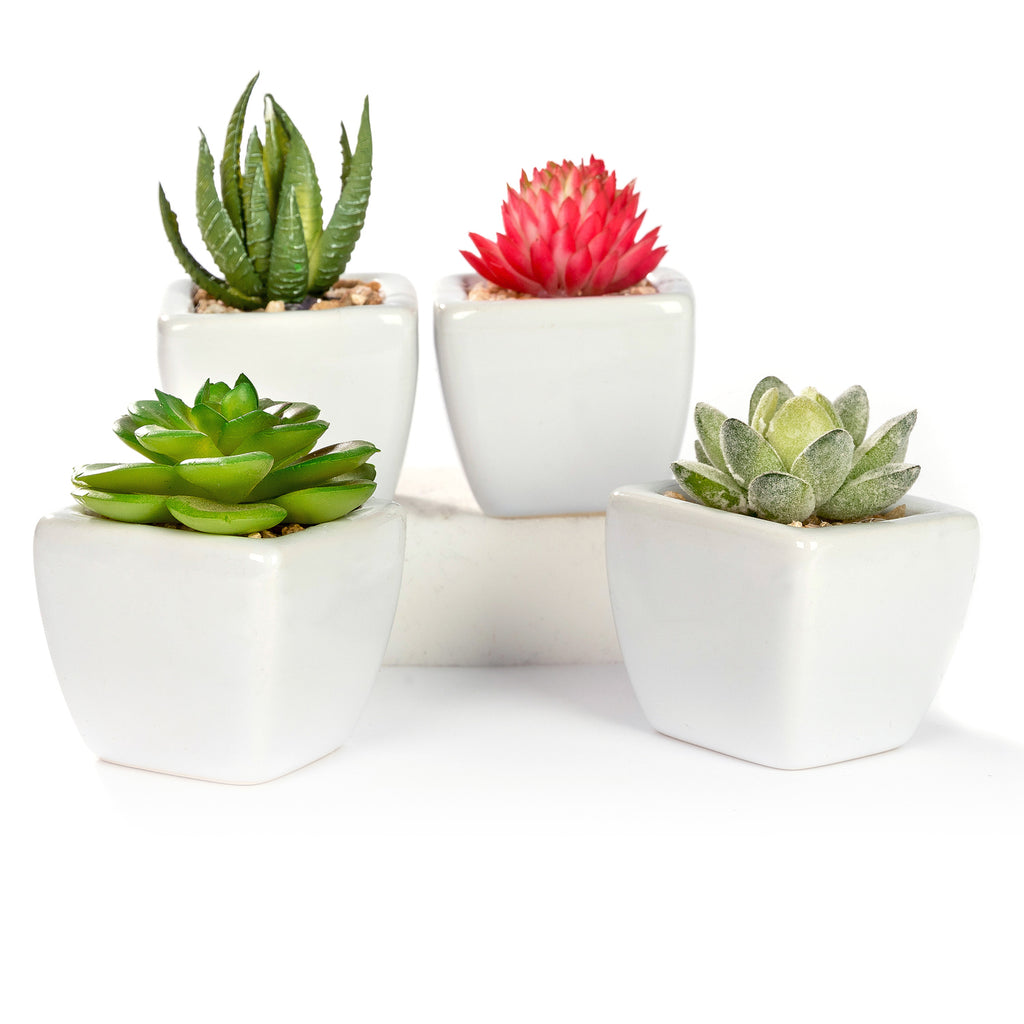 K Cliffs K-Cliffs Set Of 4 Mini Assorted Artificial Succulent Plants In White Ceramic Planter Pots
