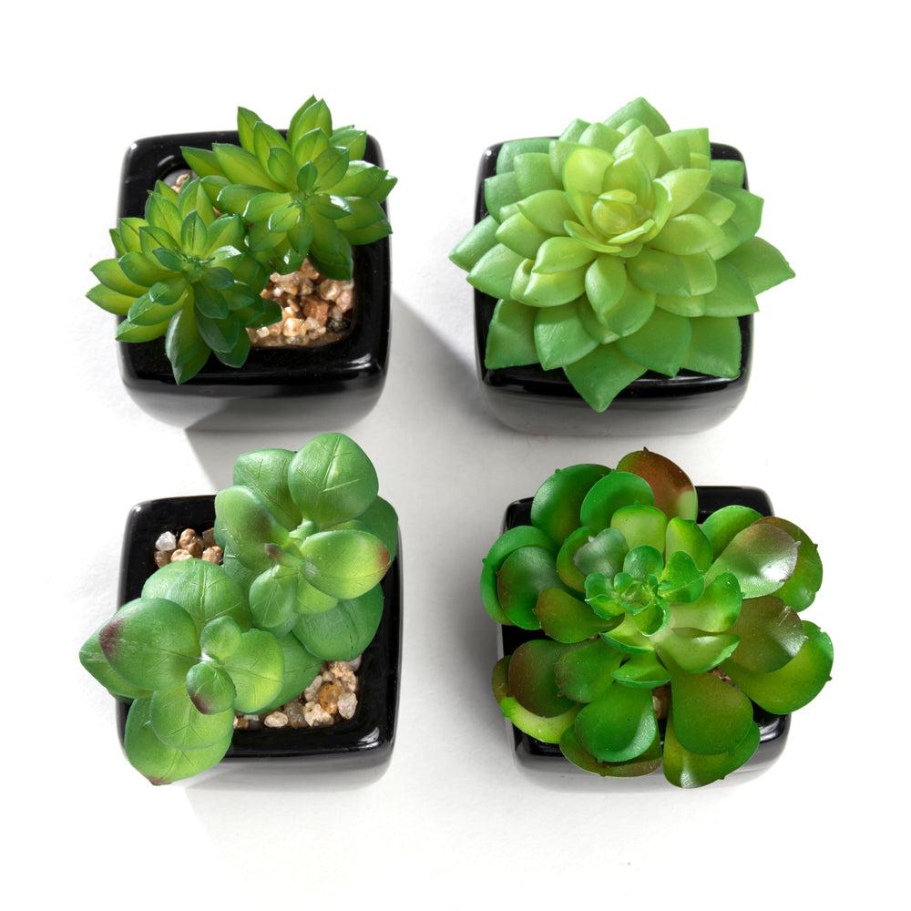 K Cliffs K-Cliffs Set Of 4 Modern Mini Artificial Succulents Potted In Cube-Shape Black Ceramic Pots