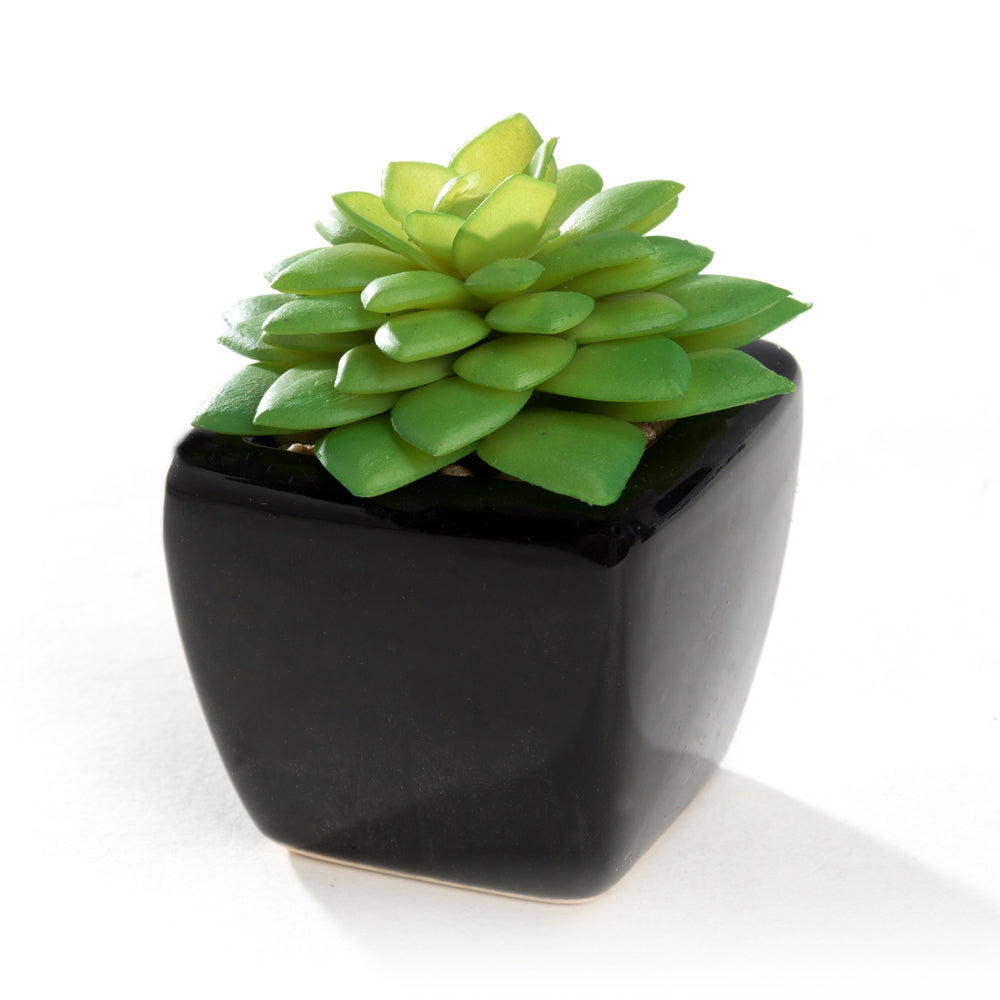K Cliffs K-Cliffs Set Of 4 Modern Mini Artificial Succulents Potted In Cube-Shape Black Ceramic Pots