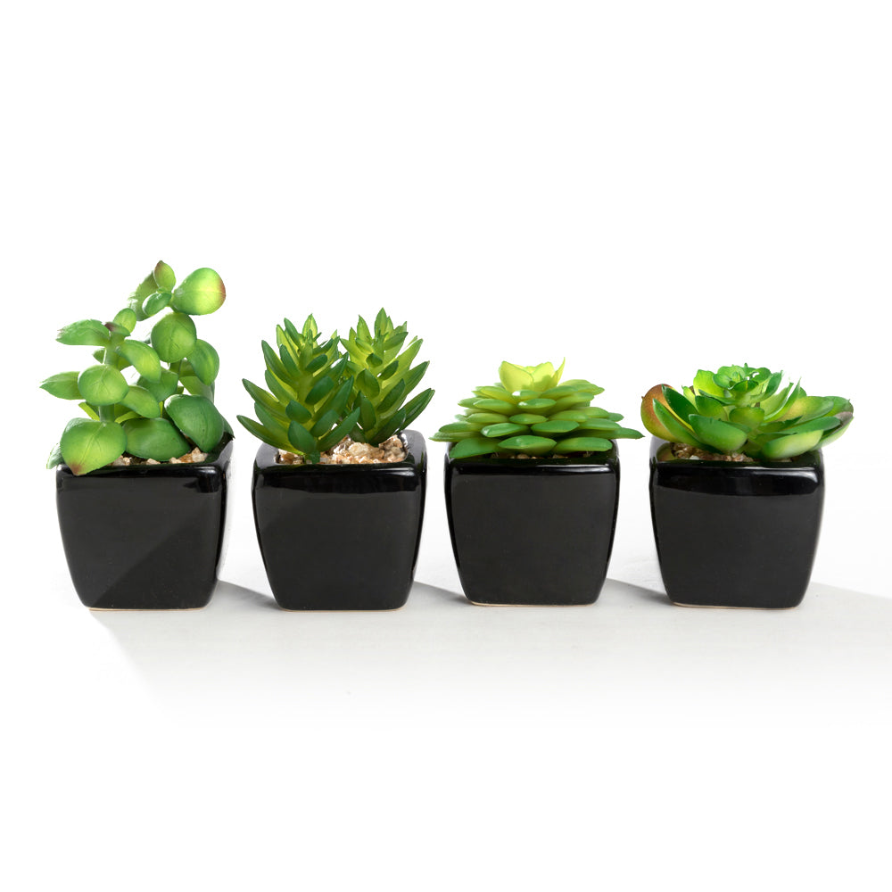 k cliffs K-Cliffs Set of 4 Modern Mini Artificial Succulents Potted in Cube-Shape Black Ceramic Pots