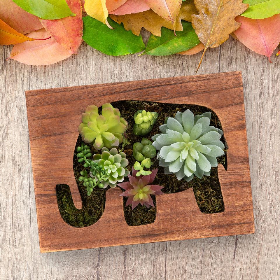 K Cliffs K-Cliffs Wooden Succulents Elephant Wall Frame Art/Key Holder