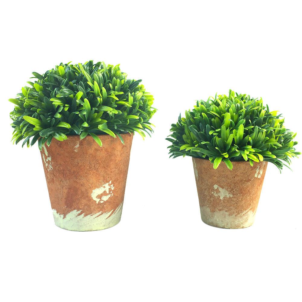 K Cliffs Mini 6.3 Inches Artificial Grass Plant Potted For Home Decor