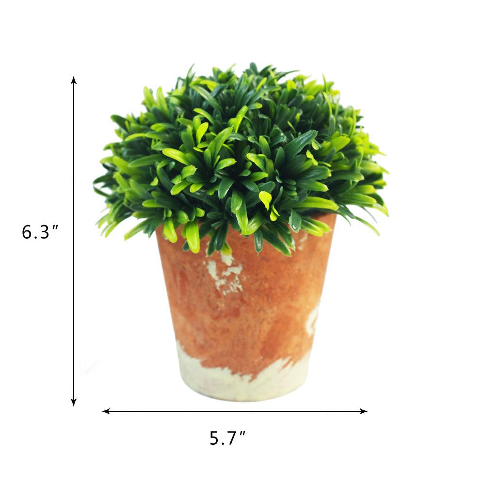 K Cliffs Mini 6.3 Inches Artificial Grass Plant Potted For Home Decor