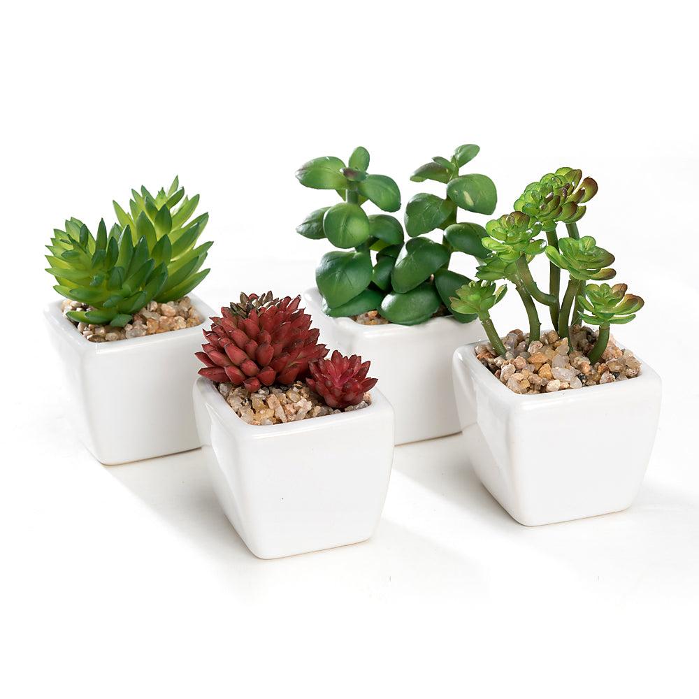 K Cliffs Mini K-Cliffs Artificial Succulent Green 4.3" Potted Topiary Plants In White Cube Shape Pot 4 Pieces Set