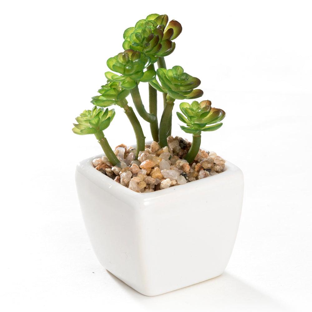 K Cliffs Mini K-Cliffs Artificial Succulent Green 4.3" Potted Topiary Plants In White Cube Shape Pot 4 Pieces Set