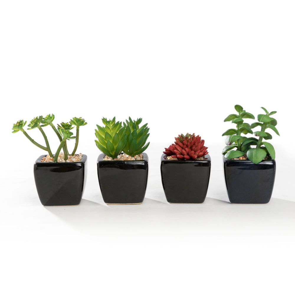 K Cliffs Mini K-Cliffs Artificial Succulent Green 4.3" Potted Topiary Plants In White Cube Shape Pot 4 Pieces Set