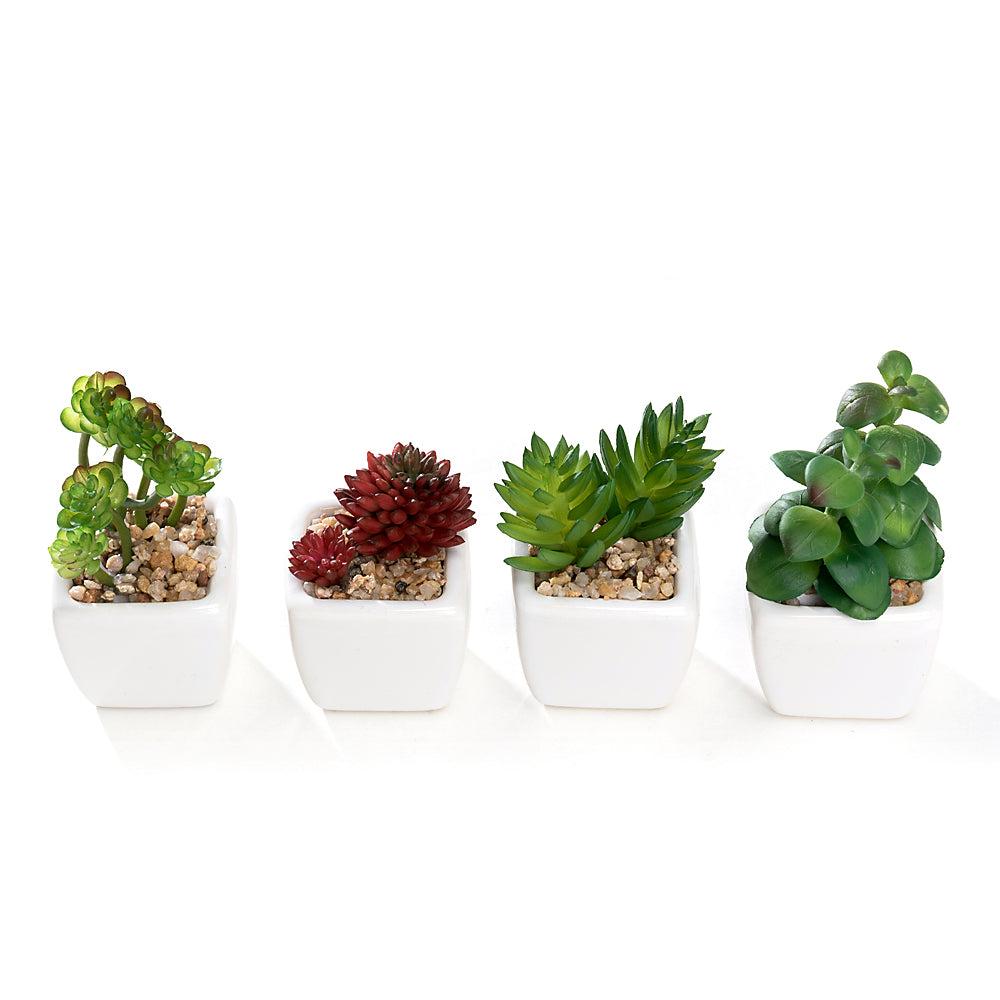 k cliffs Mini K-Cliffs Artificial Succulent Green 4.3" Potted Topiary Plants in White Cube Shape Pot 4 pieces Set